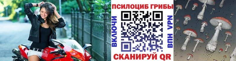Псилоцибиновые грибы MAGIC MUSHROOMS  Спас-Деменск 